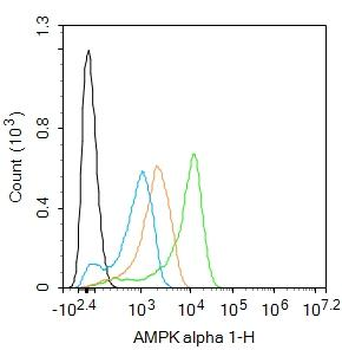 AMPK alpha 1 Rabbit Polyclonal Antibody