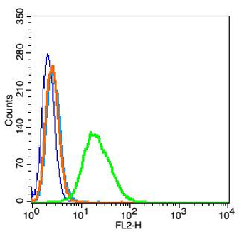 CAPD3 Rabbit Polyclonal Antibody