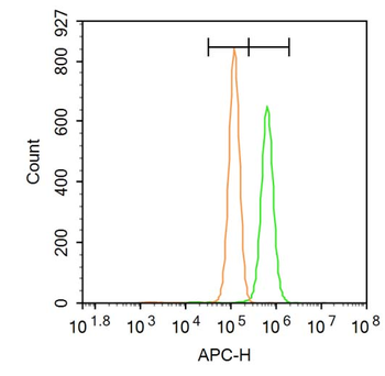 STK36 Rabbit Polyclonal Antibody