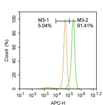 STK36 Rabbit Polyclonal Antibody