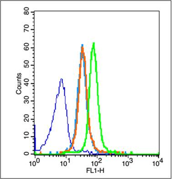 ADAM28 Rabbit Polyclonal Antibody
