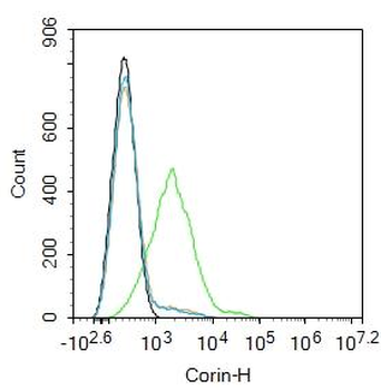 Corin Rabbit Polyclonal Antibody
