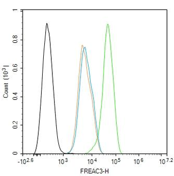 E2F8 Rabbit Polyclonal Antibody
