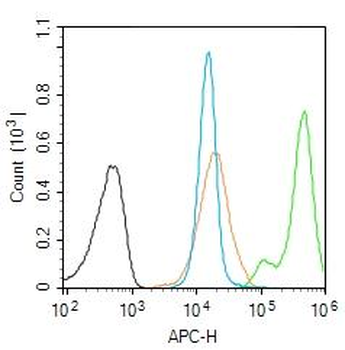Nucleoporin p62 Rabbit Polyclonal Antibody