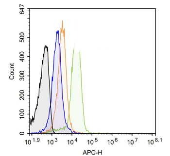 PTGER1 Rabbit Polyclonal Antibody