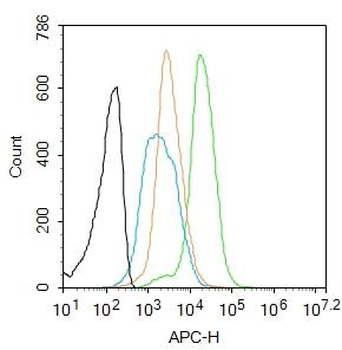 CIDEC Rabbit Polyclonal Antibody
