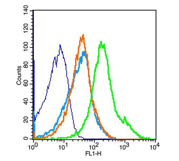 HAS1 Rabbit Polyclonal Antibody