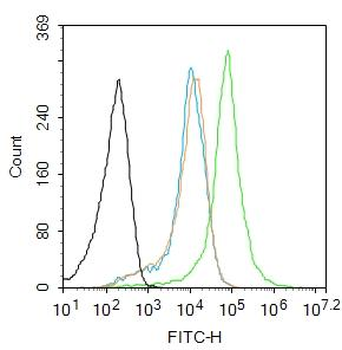 AMPD1 Rabbit Polyclonal Antibody