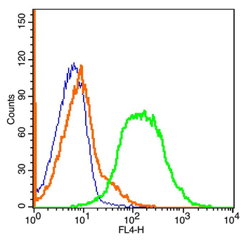 Glypican 6 Rabbit Polyclonal Antibody