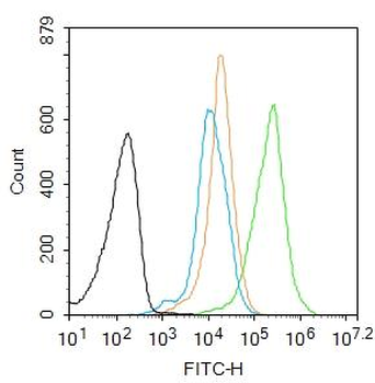 S100P binding protein Rabbit Polyclonal Antibody