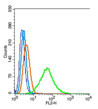 PEF1 Rabbit Polyclonal Antibody