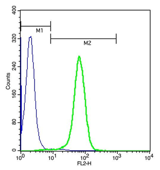 CD16 Rabbit Polyclonal Antibody