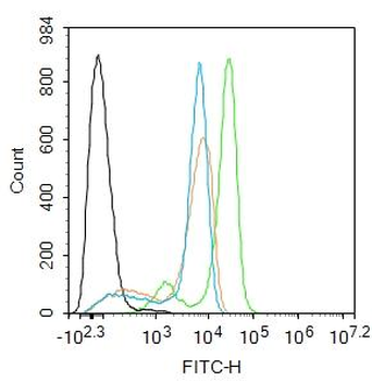 Bak Rabbit Polyclonal Antibody