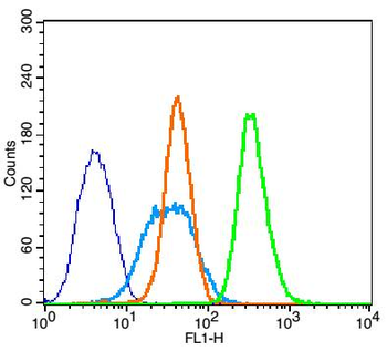 Bax beta Rabbit Polyclonal Antibody