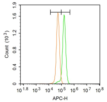 CAPN1 Rabbit Polyclonal Antibody
