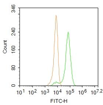 CD40/TNFRSF5 Rabbit Polyclonal Antibody (FITC)