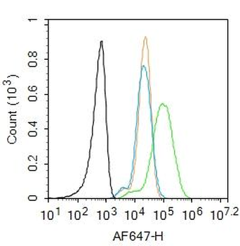 CXCL10/IP10 Rabbit Polyclonal Antibody