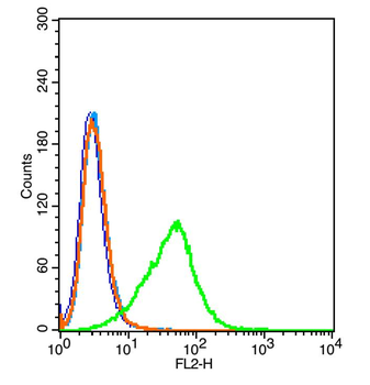 CD46 Rabbit Polyclonal Antibody