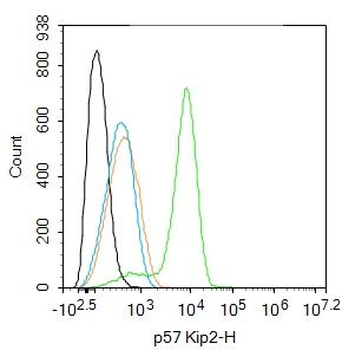Cdkn1c Rabbit Polyclonal Antibody