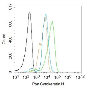 Pan Cytokeratin Rabbit Polyclonal Antibody