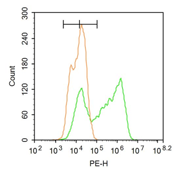 Cytokeratin 4 Rabbit Polyclonal Antibody
