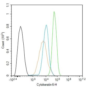 Cytokeratin 6 Rabbit Polyclonal Antibody