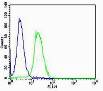 Cyclin E1 Rabbit Polyclonal Antibody