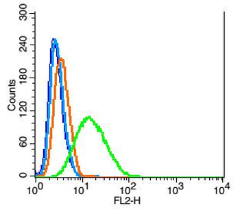 DRD1 Rabbit Polyclonal Antibody