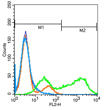 DcR2 Rabbit Polyclonal Antibody