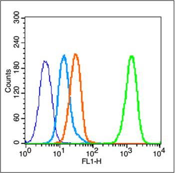 Estrogen receptor alpha Rabbit Polyclonal Antibody