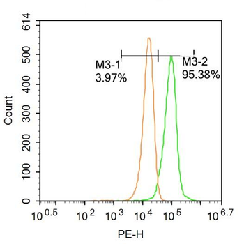 Phospho-Histone H3 (Ser10) Rabbit Polyclonal Antibody