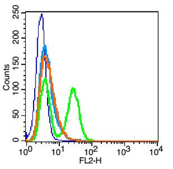 FSH receptor Rabbit Polyclonal Antibody