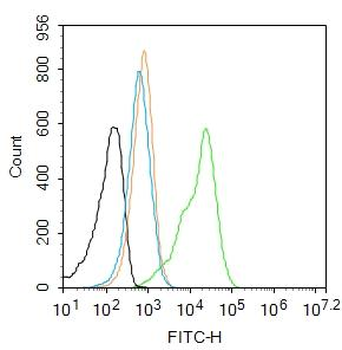 GSK-3 Beta Rabbit Polyclonal Antibody
