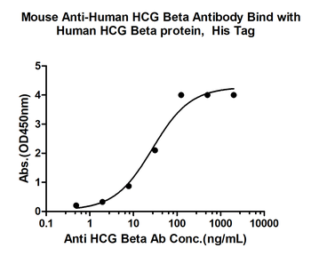 HCG Beta (4H7) Mouse Monoclonal Antibody