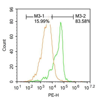 Histone H1.4 (Acetyl K53) Rabbit Polyclonal Antibody
