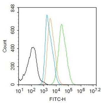 HMGB1 Rabbit Polyclonal Antibody