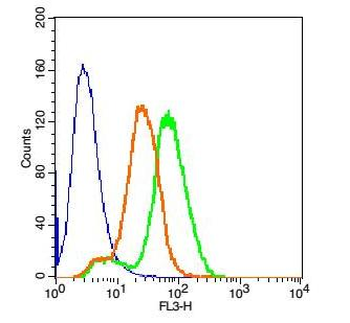 HMGB1 Rabbit Polyclonal Antibody