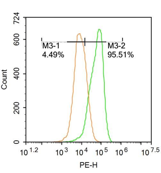 HO-2 Rabbit Polyclonal Antibody