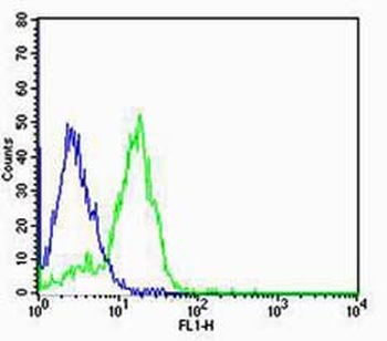Integrin Alpha V Rabbit Polyclonal Antibody