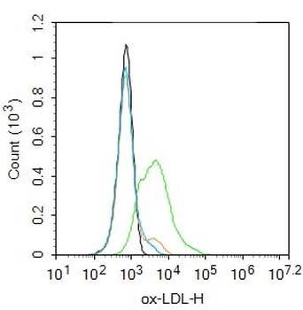 Ox-LDL Rabbit Polyclonal Antibody