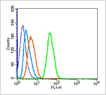 GPR49 Rabbit Polyclonal Antibody