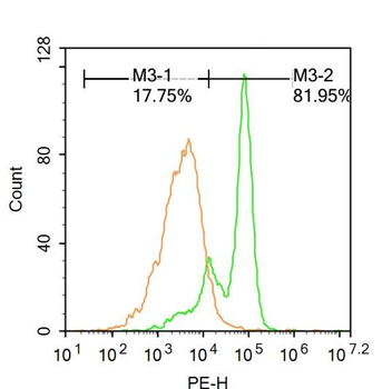 RPSA Rabbit Polyclonal Antibody