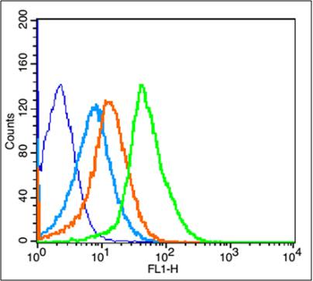 PDGFRA Rabbit Polyclonal Antibody