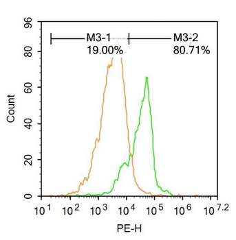 Phospho-Rb (Ser780) Rabbit Polyclonal Antibody
