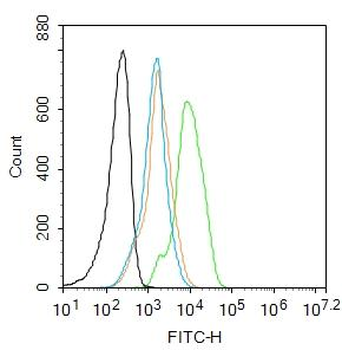 Retinoid X receptor alpha Rabbit Polyclonal Antibody