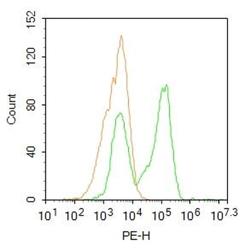 SOD1 Rabbit Polyclonal Antibody