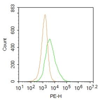 KCNE1L Rabbit Polyclonal Antibody