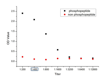 Phospho-STAT6 (Tyr641) Rabbit Polyclonal Antibody