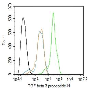 TGF beta 3 propeptide Rabbit Polyclonal Antibody