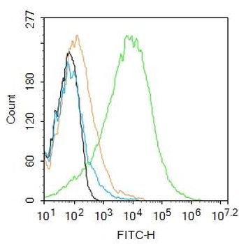 CD90/Thy-1 Rabbit Polyclonal Antibody
